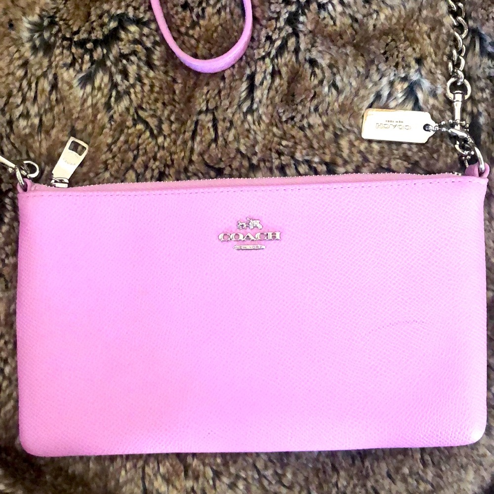 Small Coach Purse